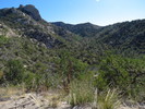 photo thumbnail #7