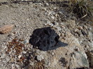 photo thumbnail #8