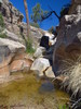 photo thumbnail #12