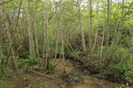 photo thumbnail #13