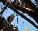 photo thumbnail #11