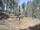 photo thumbnail #3