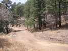 photo thumbnail #5