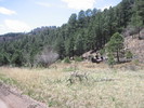 photo thumbnail #9