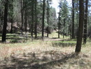 photo thumbnail #12