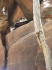 photo thumbnail #10