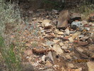 photo thumbnail #9