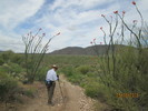 photo thumbnail #3