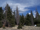 photo thumbnail #14