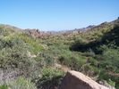 photo thumbnail #7