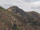 photo thumbnail #5