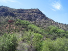 photo thumbnail #8