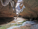 photo thumbnail #5