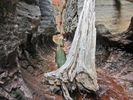 photo thumbnail #6