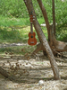 photo thumbnail #12