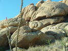 photo thumbnail #3