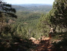photo thumbnail #3
