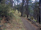 photo thumbnail #5