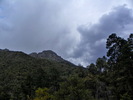 photo thumbnail #13