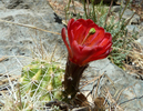 photo thumbnail #10