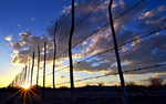photo thumbnail #14