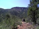 photo thumbnail #7