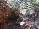 photo thumbnail #3