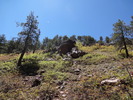 photo thumbnail #6