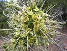photo thumbnail #14