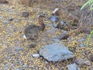 photo thumbnail #1