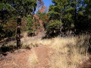 photo thumbnail #4