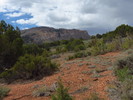 photo thumbnail #1