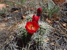 photo thumbnail #3