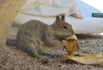 photo thumbnail #8
