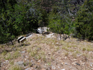 photo thumbnail #12
