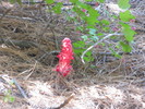 photo thumbnail #1