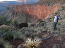 photo thumbnail #8