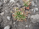 photo thumbnail #13