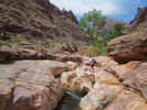 photo thumbnail #4