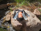 photo thumbnail #5