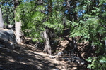 photo thumbnail #2