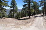 photo thumbnail #8