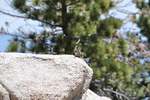 photo thumbnail #13