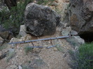 photo thumbnail #5