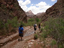 photo thumbnail #12