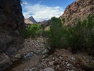 photo thumbnail #14