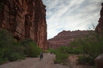 photo thumbnail #5