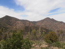 photo thumbnail #8