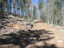 photo thumbnail #3