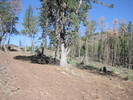 photo thumbnail #4
